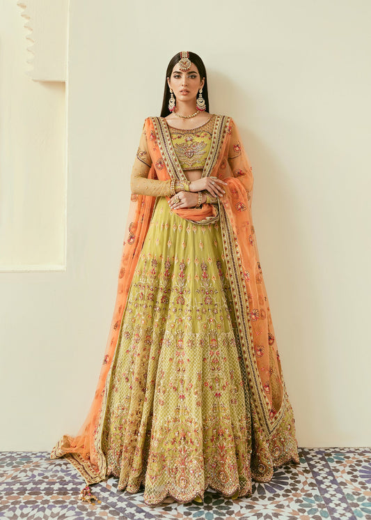 Lela Lehenga, Choli with Dupatta - COD | 50% OFF