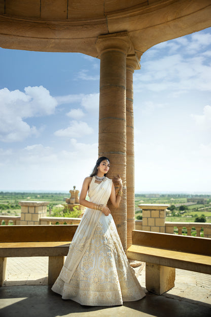 Anmol Baloch Chandni Gown | 75% OFF