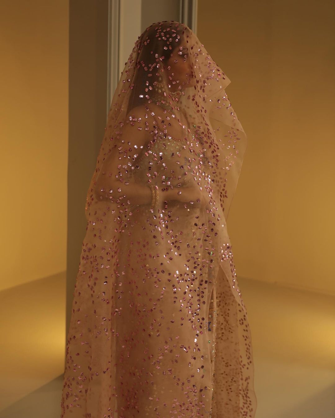 Sajal Ali - Silver Peach Embellished Organza Sari | 70% OFF