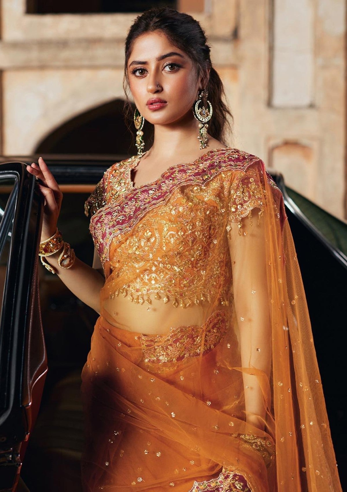 Sajal Ali - Rimsel Saree - COD | 50% OFF