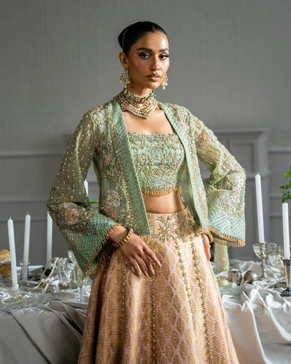 Merging Bolero, Top and Lehenga set | 60% OFF