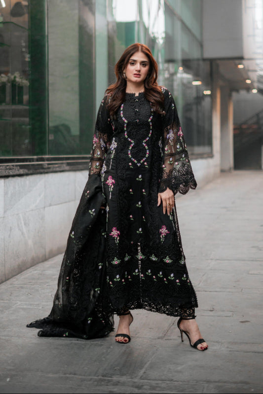 Hira Mani NeeL Hira Mani NeeL